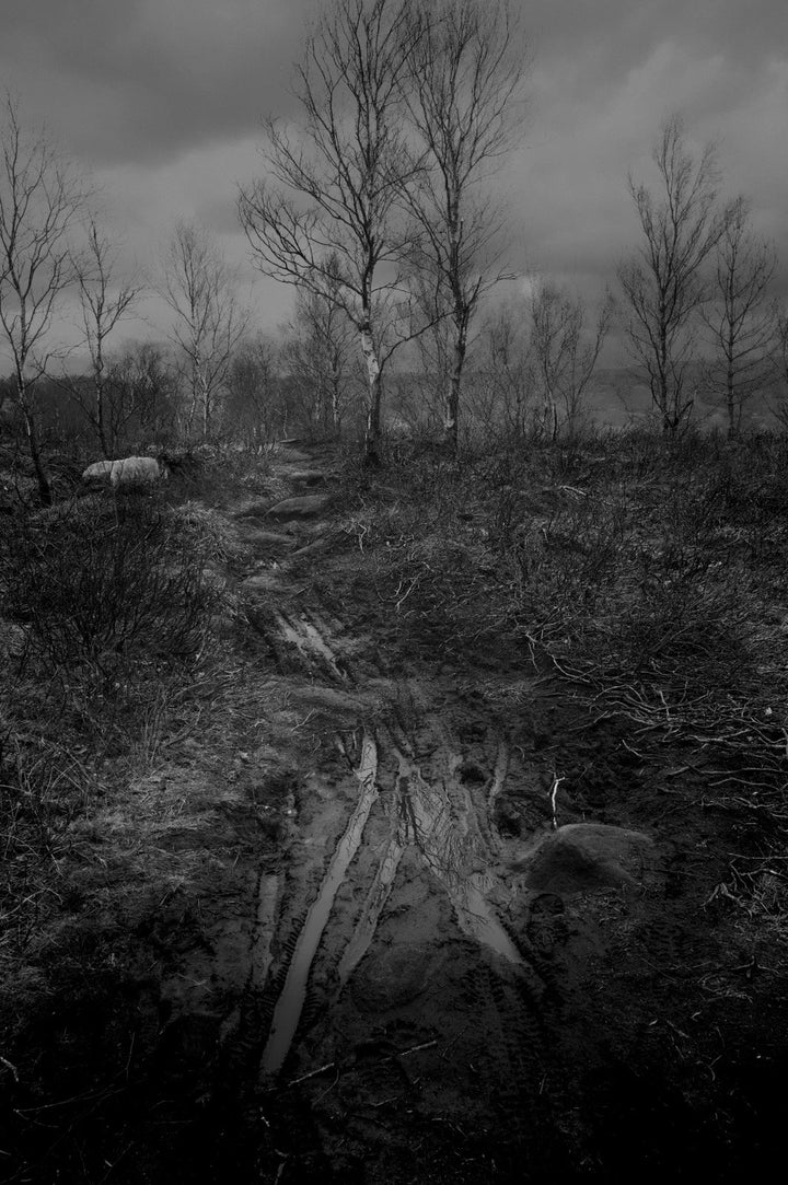 Leica Q3 28 60.3MP Camera - Black - Excellent Condition + Warranty + Thumb Grip